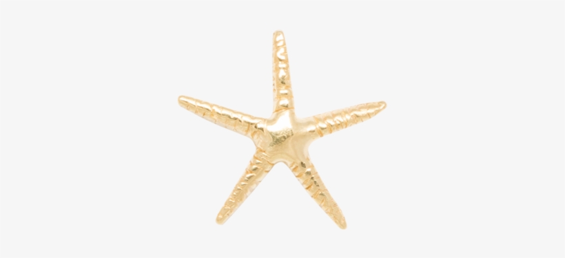 Single Starfish Stud 14k - Starfish, transparent png #3906864