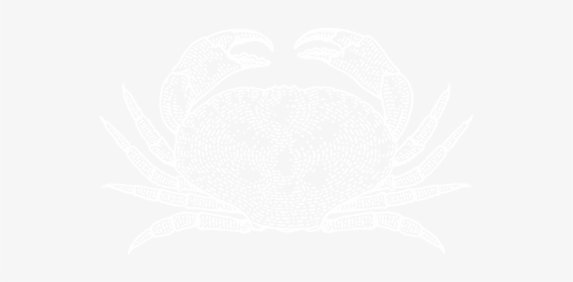 Crab Illustration - Samways Fish Merchants, transparent png #3907010