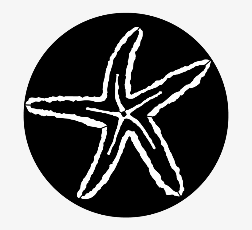 Sea Starfish - Apollo Sea Starfish Steel Gobo Ms-7005, transparent png #3907078