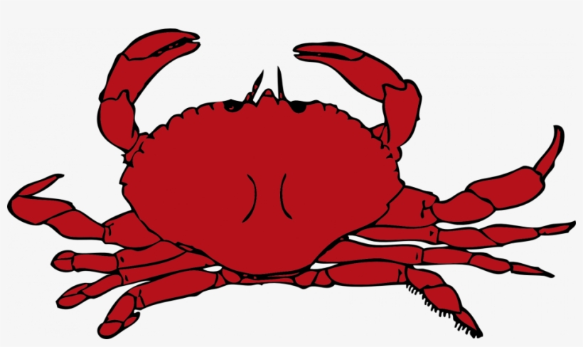 Learn How To Draw A Cartoon Crab - Crab Clipart, transparent png #3907236