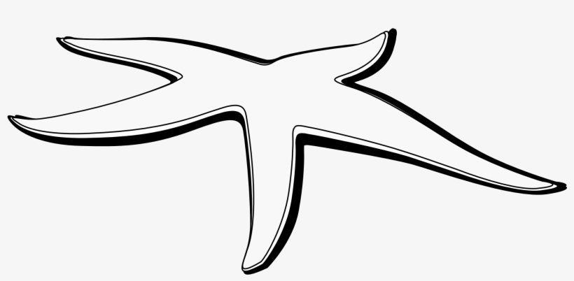 Starfish Black And White Clipart - Clip Art, transparent png #3907374