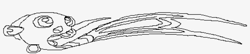 Bluberri Base - Sketch, transparent png #3907449