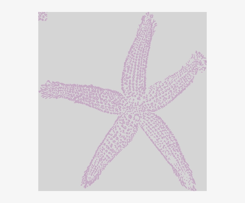 Star Fish Lavender Eac9ea Clip Art At Clker White Starfish - Fish Clip Art, transparent png #3907507
