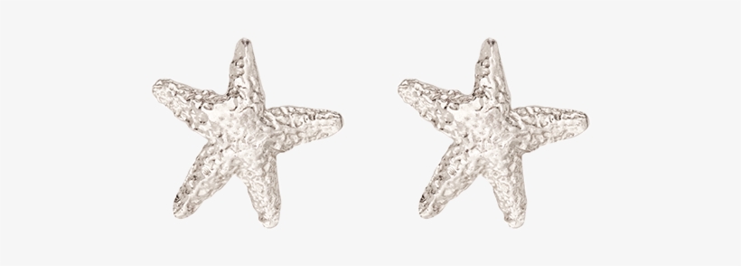 14k White Gold Starfish Studs - Starfish Stud Earring, transparent png #3907624