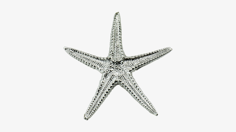 Sea Star Pendant Large - Stock Illustration, transparent png #3907630