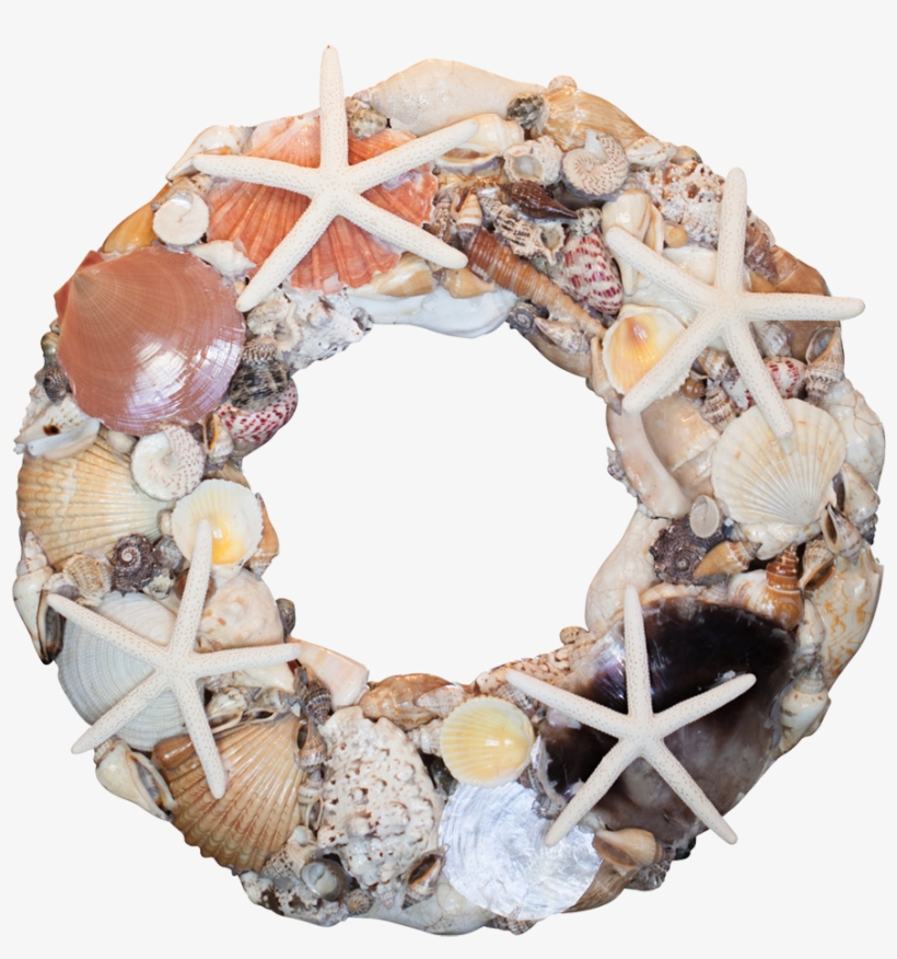 Seashell Company 15" Wreath Driftwood & Starfish, transparent png #3908364