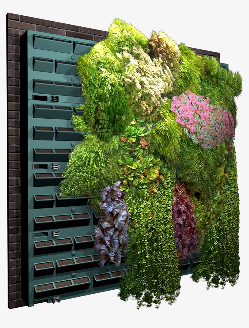 Mur Vegetal, transparent png #3908820