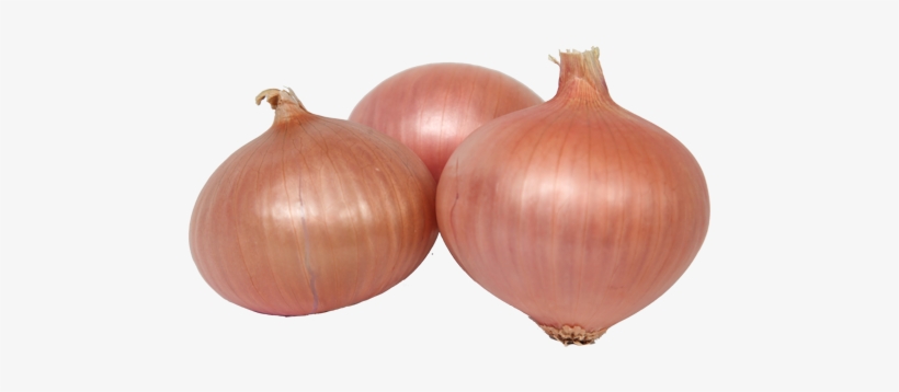 Figueres Onion - Variedad De Cebolla Babosa, transparent png #3909021