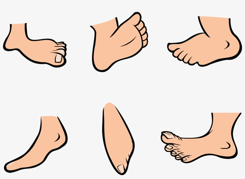Cartoon Foot Clipart - Feet Clipart, transparent png #3909284