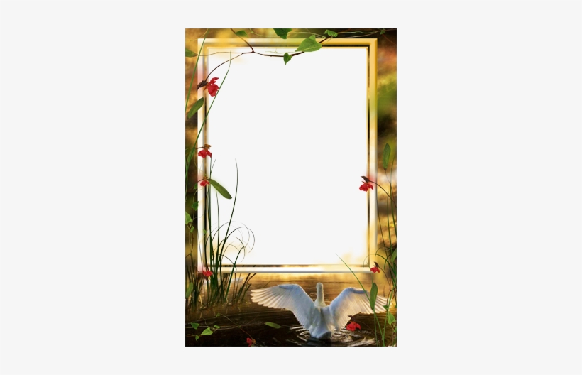 Photo Frame - Ray Sunset - Swan On The River Avon, transparent png #3910608