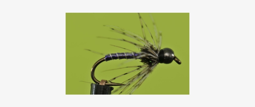 Damselfly, transparent png #3910664
