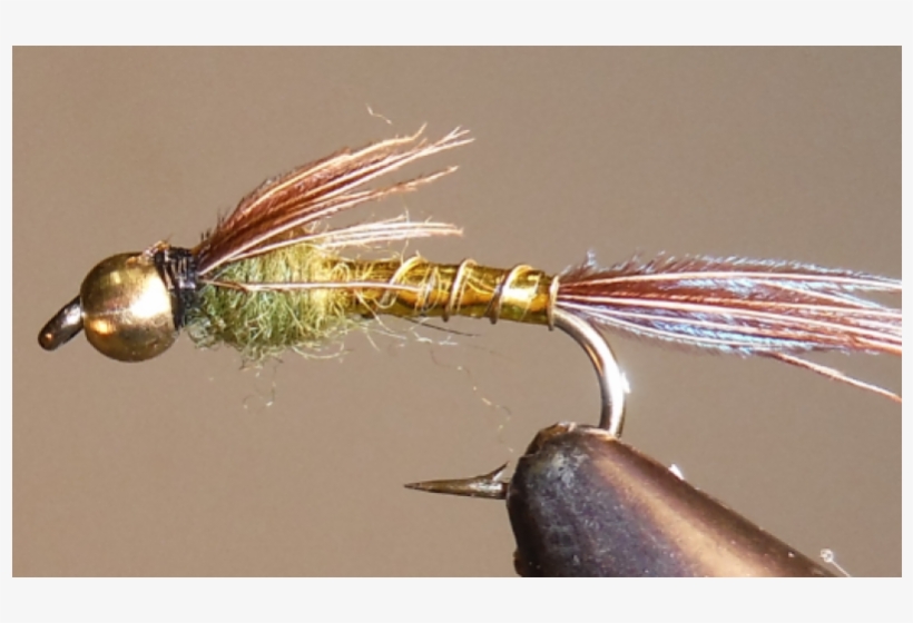 Gold Lightning Bug - Mayflies, transparent png #3910794