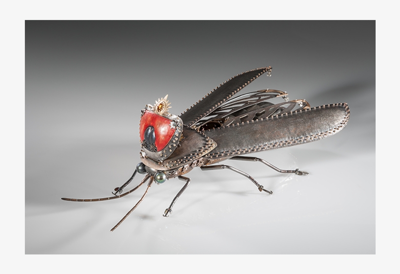 House Fly, transparent png #3910909