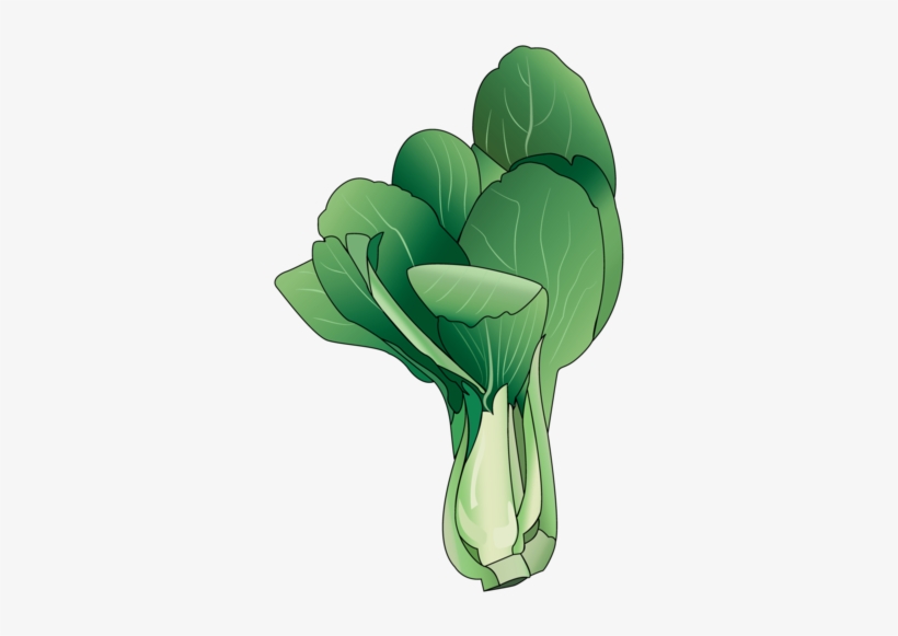 Bok Choy, transparent png #3911025