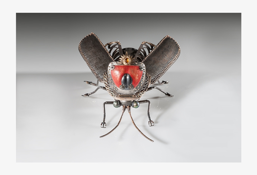 House Fly, transparent png #3911089