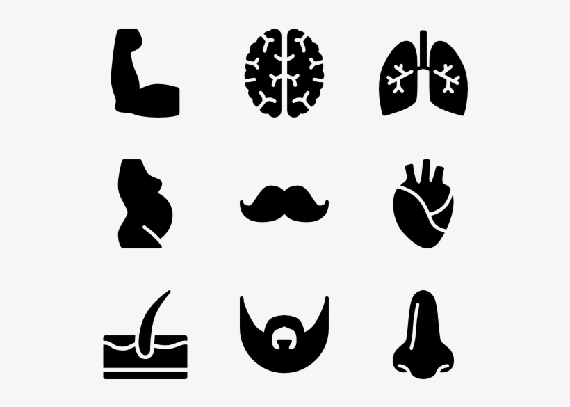 Anatomy - Body Icon, transparent png #3911479