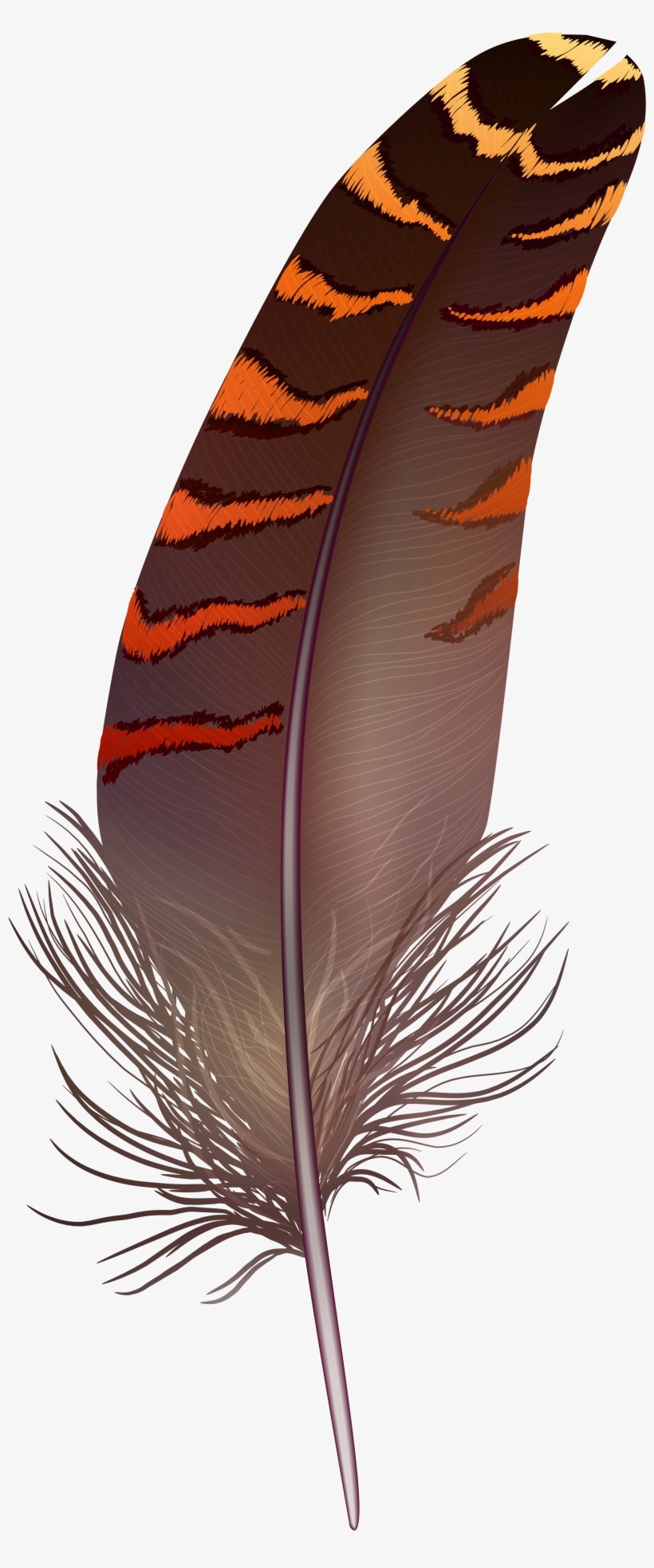 Feather Png Transparent, transparent png #3911483