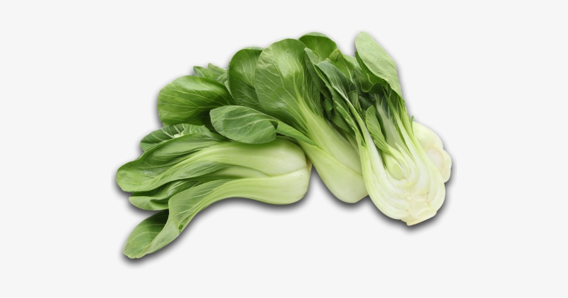 Bok Choi - Bokchoi, transparent png #3911554
