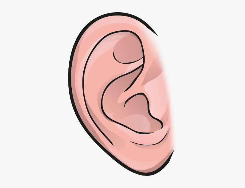 Ear - Illustration, transparent png #3911902
