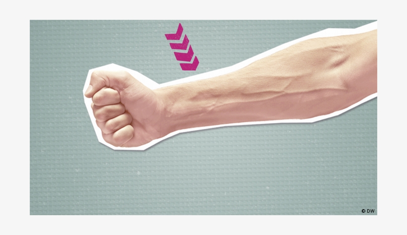 Deutschtrainer 37 Body Parts - Deutsche Welle, transparent png #3912205