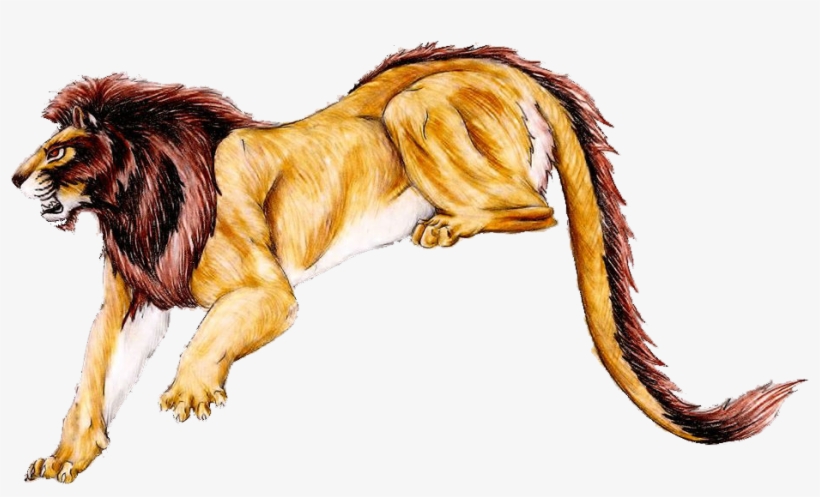 Collection Of High Quality Free Cliparts - Nemean Lion, transparent png #3912291