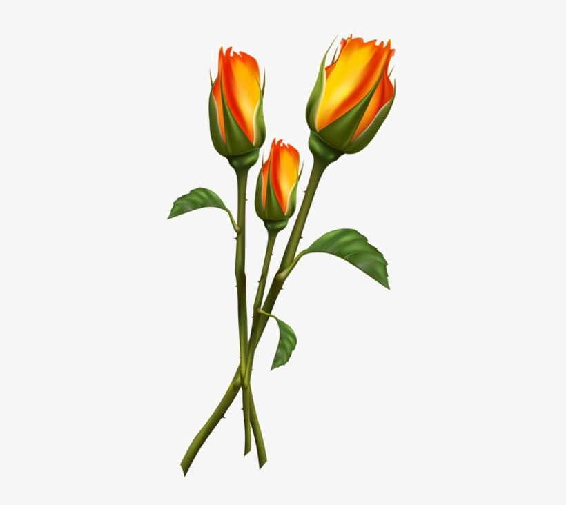 Christine Staniforth ♛༻ - Flower Buds Clip Art, transparent png #3912324