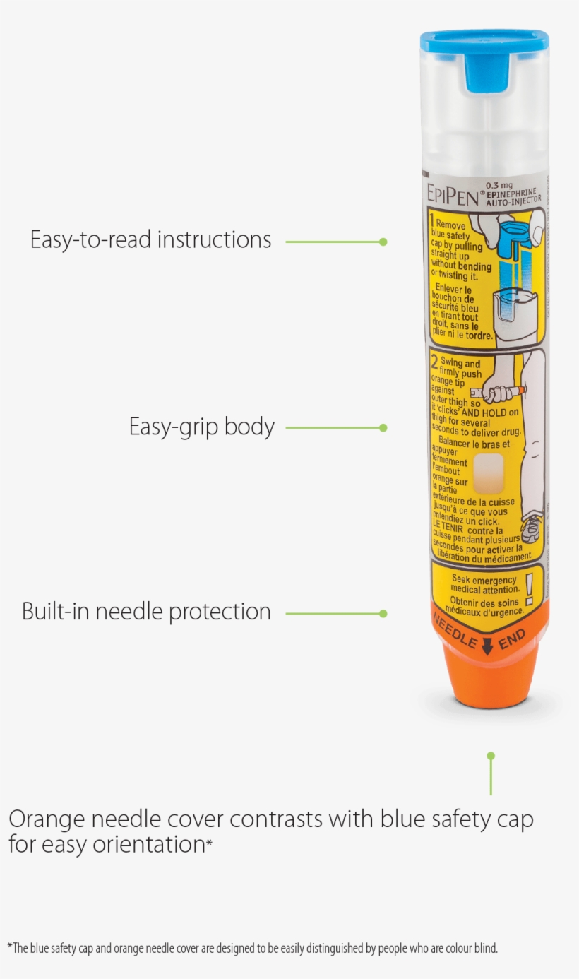 Epipen® Device With Callouts Indicating Easy To Read - Epipen Francais, transparent png #3912454
