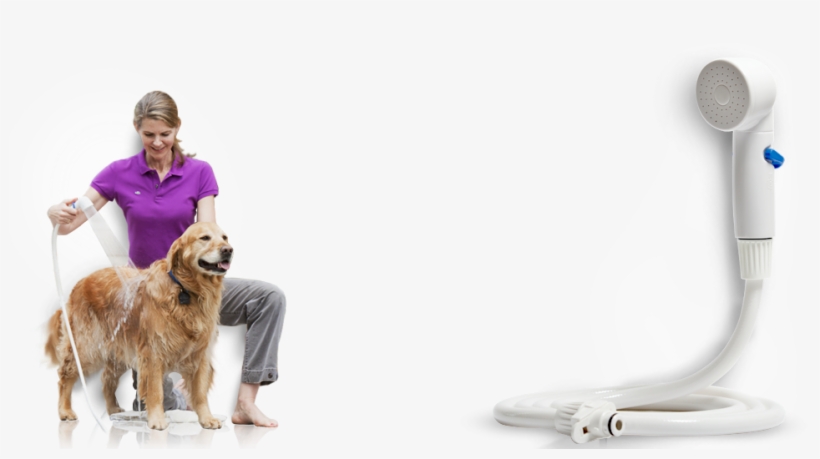 Quick And Easy At-home Pet Bathing - Rinse Ace, transparent png #3912521