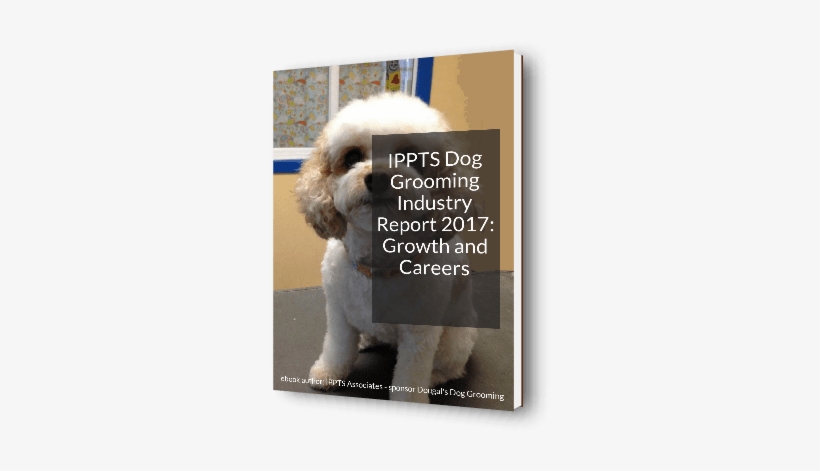 3d Cover Image For The Report - Dog Grooming, transparent png #3913272