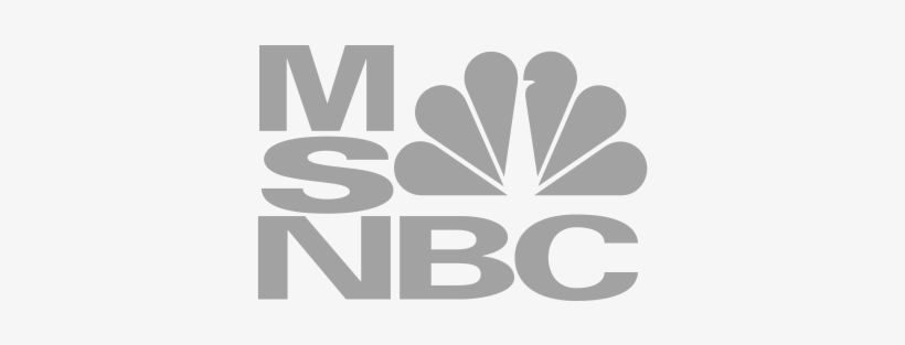 Msnbc Logo Gray - Msnbc Fox News, transparent png #3913950