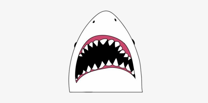 Shark Tiburon Tiburón Tiburoncin - Sticker Tumblr Transparent, transparent png #3914695