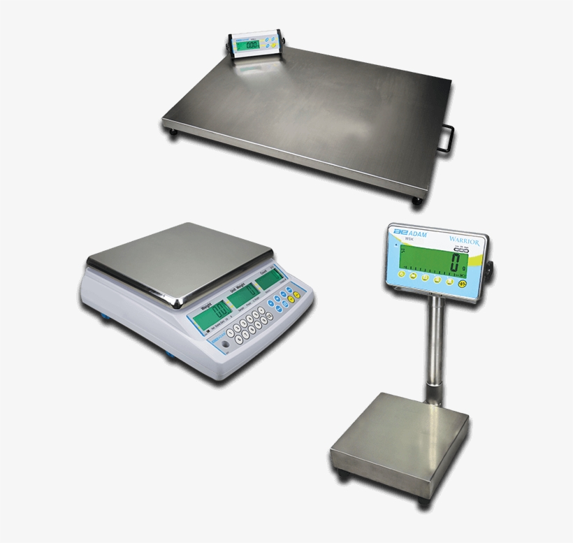 Bench And Floor Scales - Adam Cbc Counting Scale, transparent png #3915677