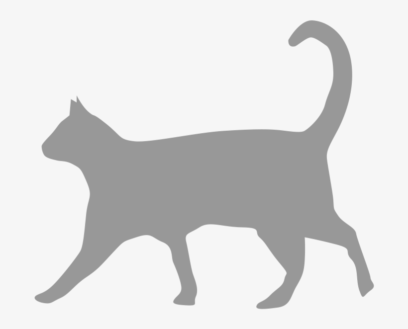 Adult - Pet Care, transparent png #3916798