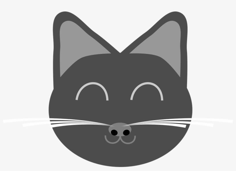 Cat,a Young Kitten,gray - Cat, transparent png #3917006
