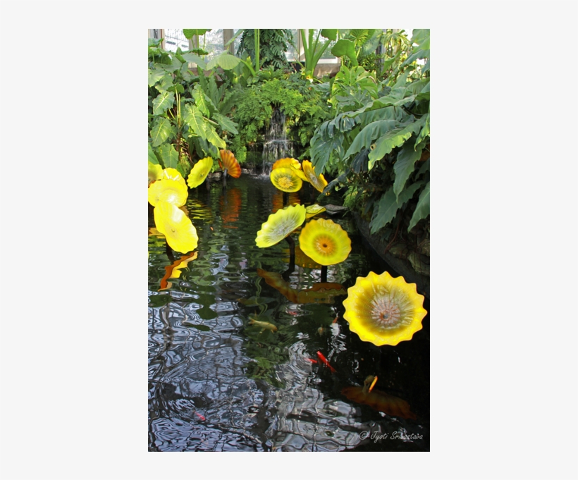 Sunflower, transparent png #3917920
