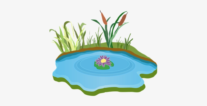 Lily Pad Clipart Garden Pond - Free Clipart Pond, transparent png #3918087