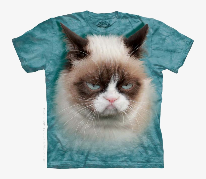 Cutie Pie Kitten, Striped Cat Face, Grumpy Cat - Mountain Grumpy Cat, transparent png #3918186