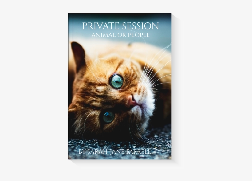 Animal Communication Session - Cat Plague, transparent png #3918317
