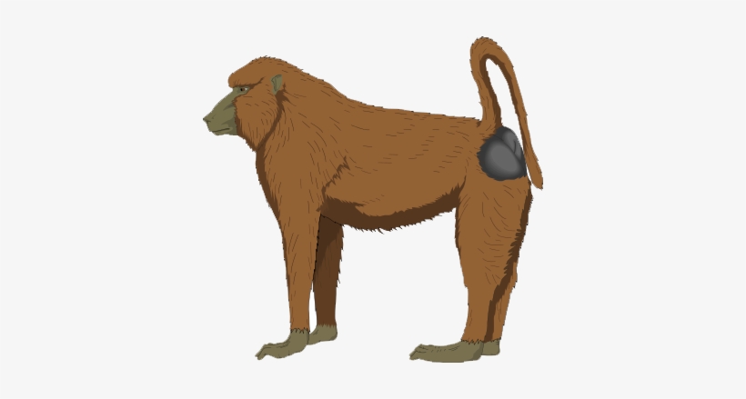 Baboon Transparent - Baboon - Baboon Clipart Png, transparent png #3918671