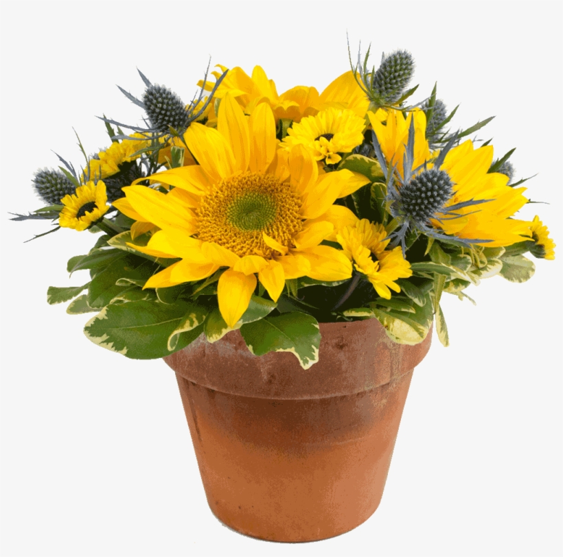 A Sunny Day Bouquet - Flower Bouquet, transparent png #3918790