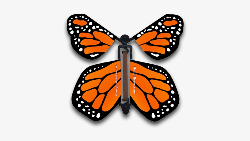 Orange Monarch Wind Up Flying Butterfly - Flying Butterfly Card, transparent png #3918956