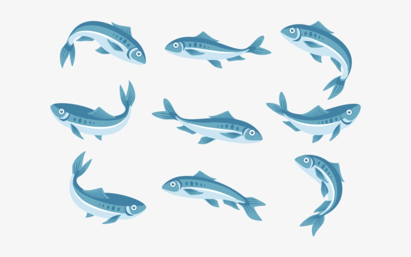 Sardine Icons Vector - Sardine Vector, transparent png #3919042