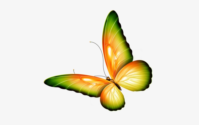 Butterfly Clipart Monarch Butterfly Insect Very Stubborn - Clipart Flowers And Butterflies Border, transparent png #3919136