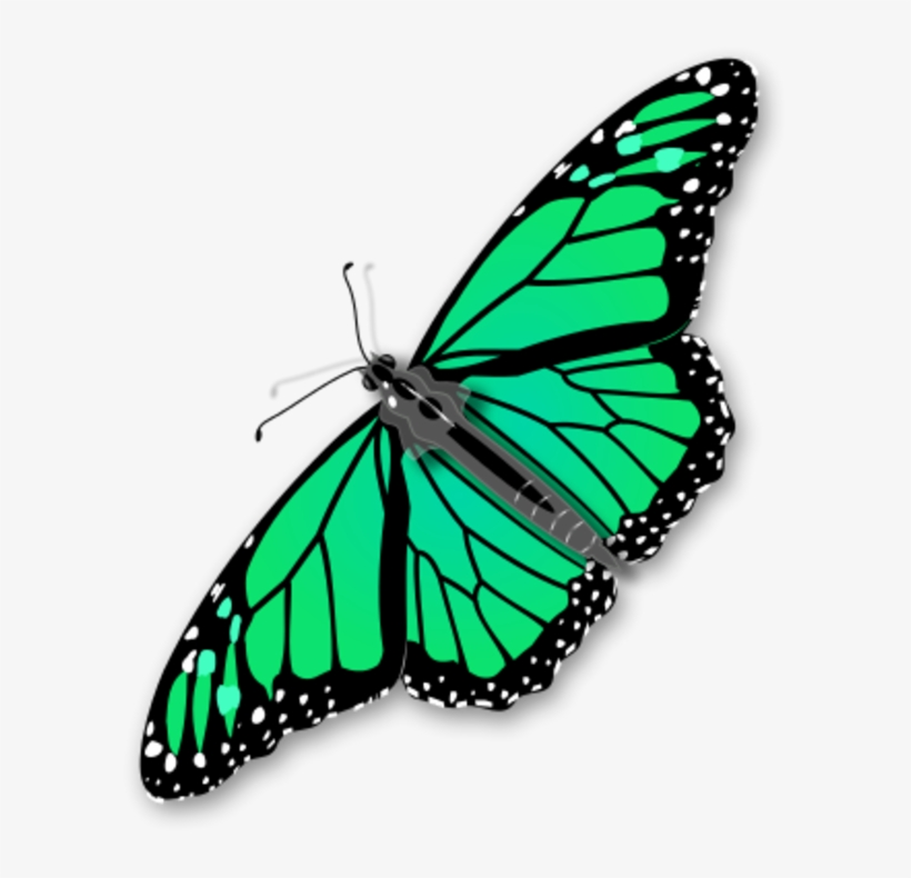 Monarch Butterfly Clipart Three - Butterfly Clipart No Background, transparent png #3919224