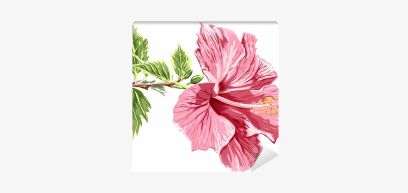 Vector / Eps10 Wall Mural • Pixers® • We Live To Change - Sketched Pink Hibiscus 5'x7'area Rug, transparent png #3919393