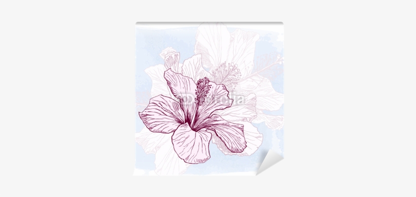 Vector Watercolor Paint Wall Mural • Pixers® • We Live - East Urban Home Hibiscus Flower Shower Curtain, transparent png #3919435