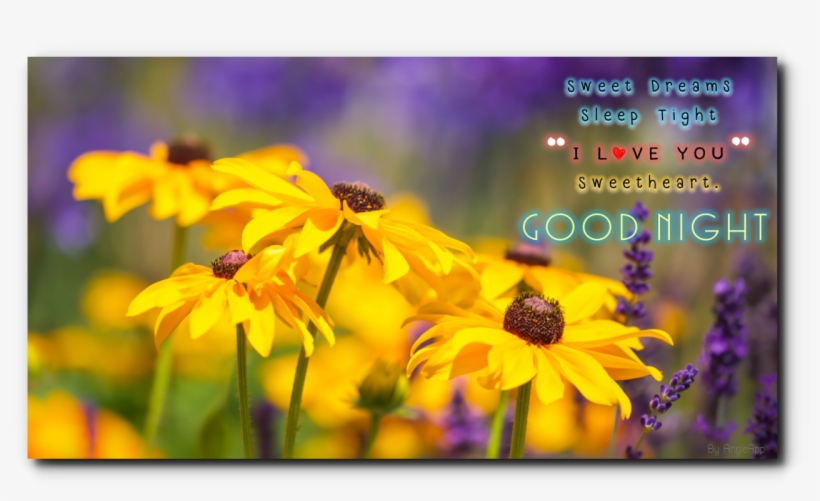 0 - - Quotes Images For Happy Father's Day With Nature, transparent png #3919983