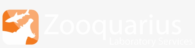 Footer Winelab Footer Equi Footer Acs Footer Zooquarius - Darkness, transparent png #3920255