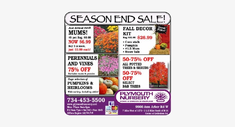 Season - Columbia Angels, transparent png #3920285