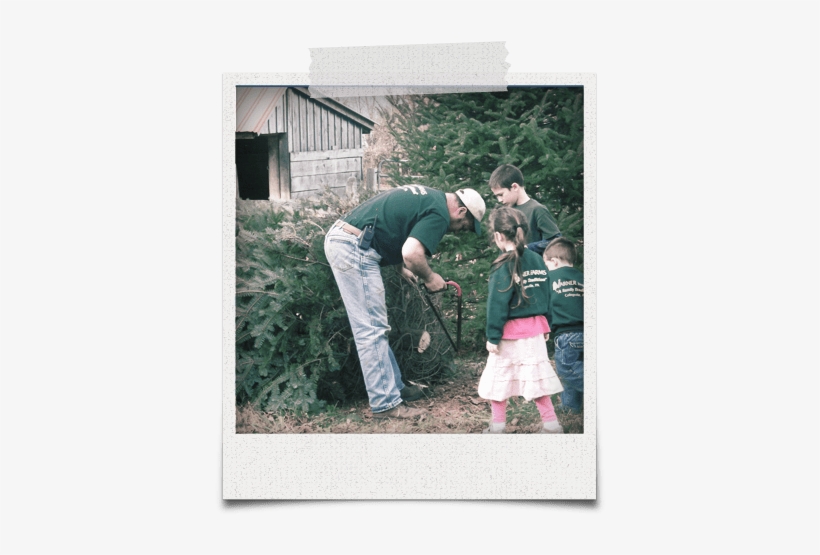 Products And Pricing - Varner Farms, transparent png #3920417